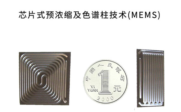 芯片式預濃縮及色譜柱技術 芯片式預濃縮及色譜柱技術